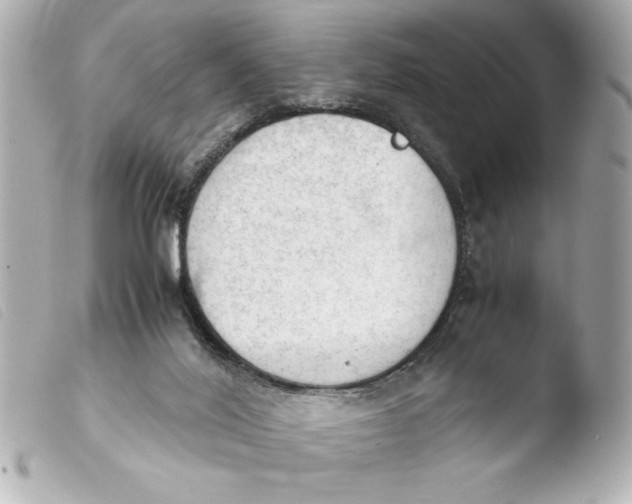 X0000103900020200810031200