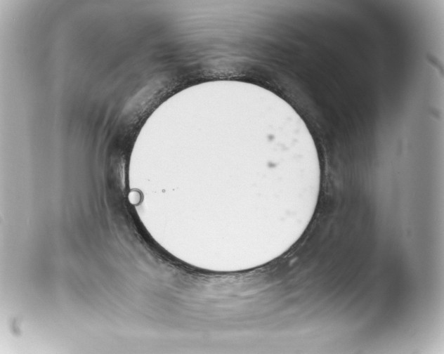 X0000103900021200810031200