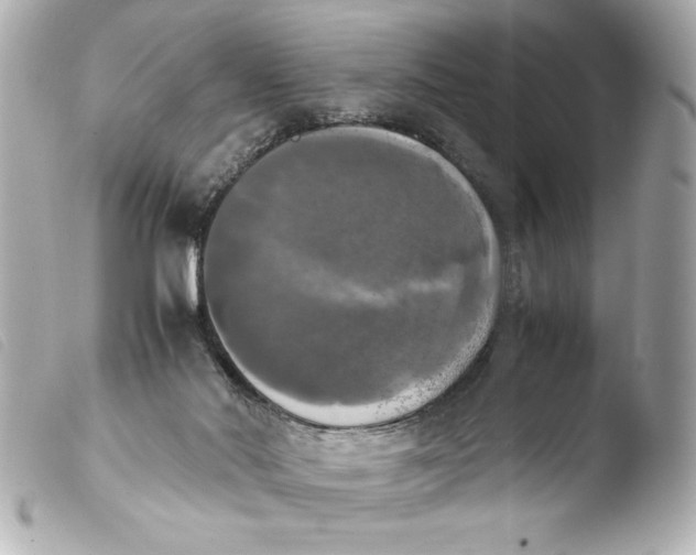 X0000103900022200810031200