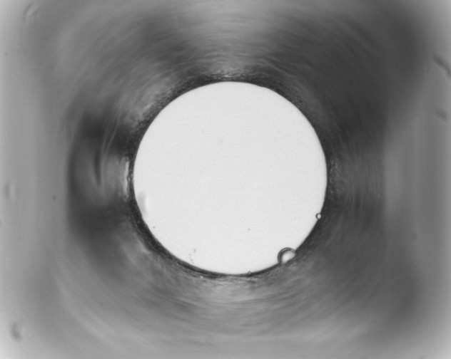 X0000103900024200810031200