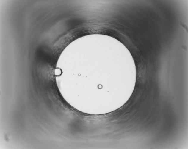 X0000103900025200810031200