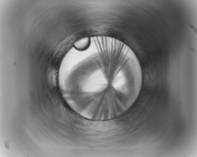 X0000103900026200810031200