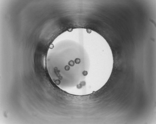 X0000103900027200810031200