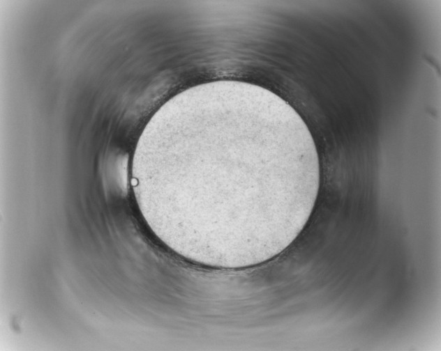 X0000103900028200810031200