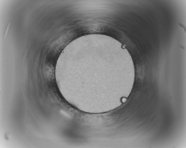 X0000103900029200810031200