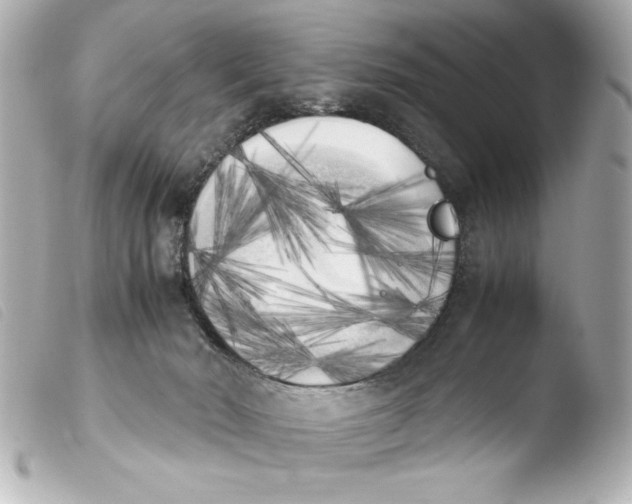 X0000103900030200810031200