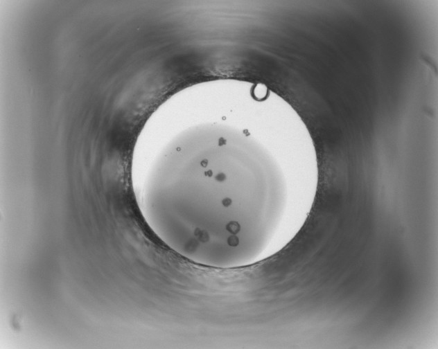 X0000103900031200810031200