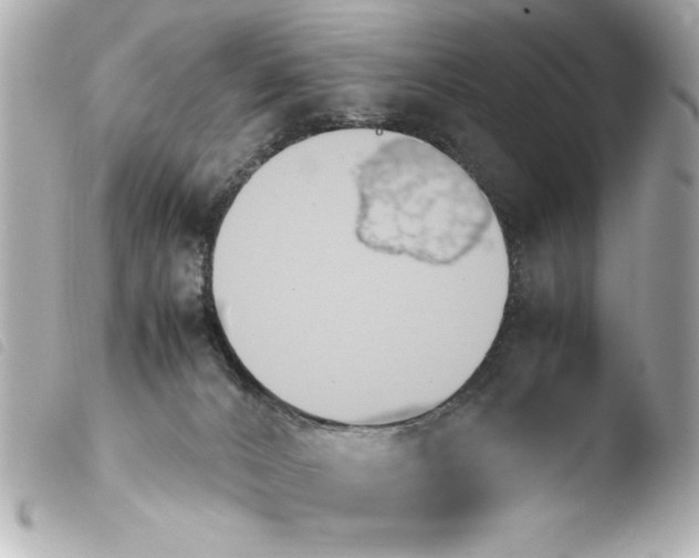 X0000103900032200810031159