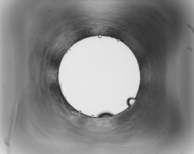 X0000103900033200810031159