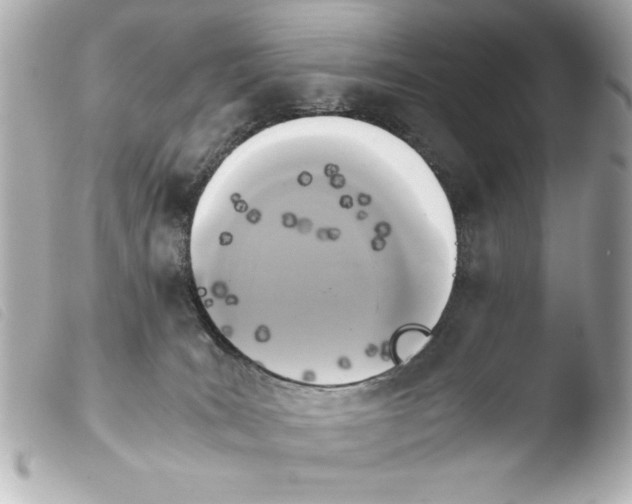 X0000103900035200810031159