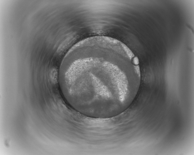 X0000103900036200810031159