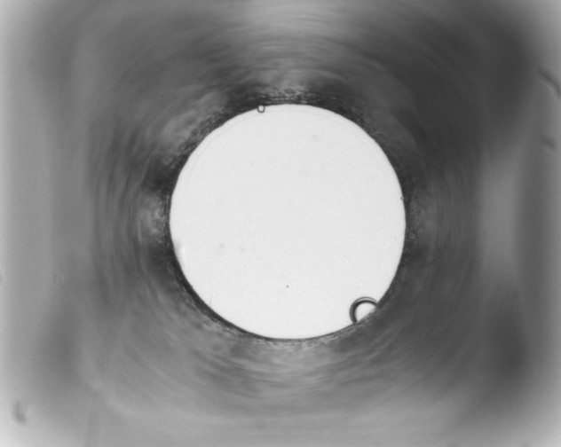 X0000103900037200810031159