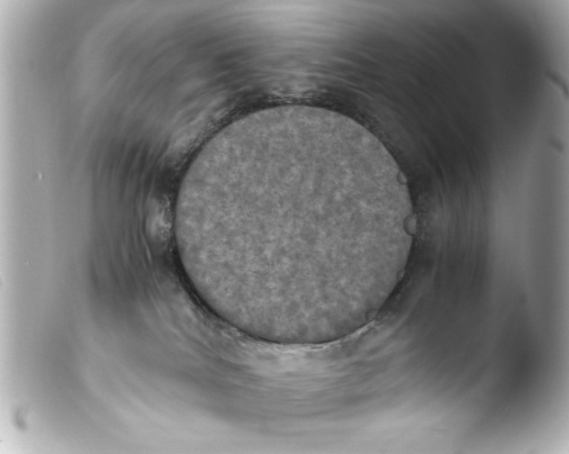 X0000103900040200810031159