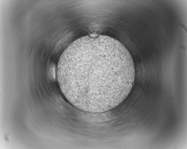 X0000103900042200810031159