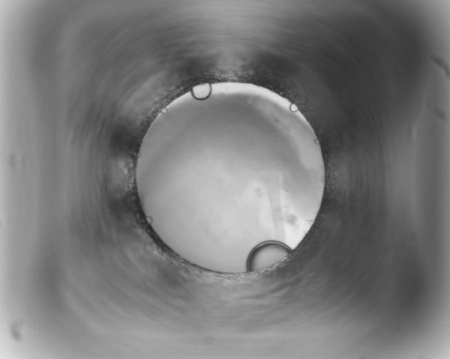 X0000103900043200810031159