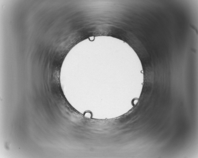 X0000103900045200810031159