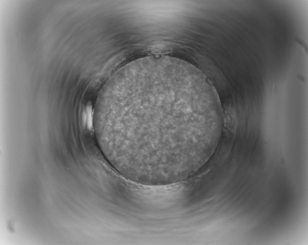 X0000103900046200810031159