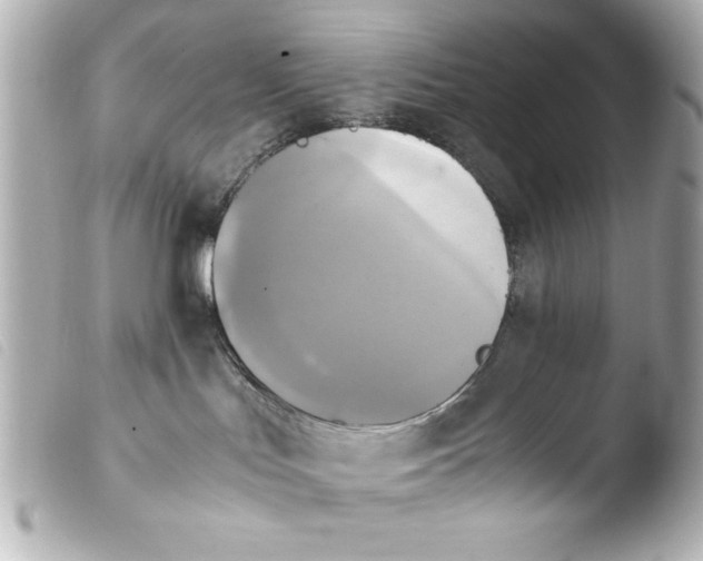 X0000103900047200810031159