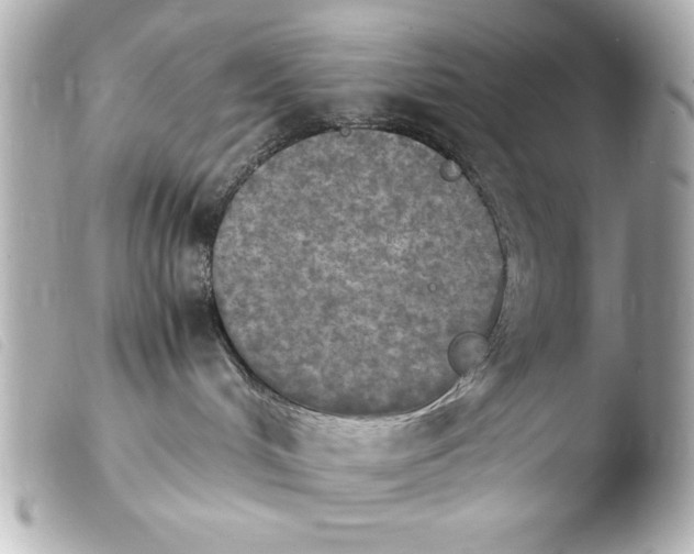 X0000103900048200810031159