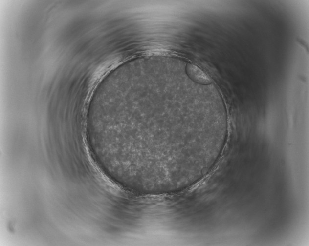 X0000103900049200810031158