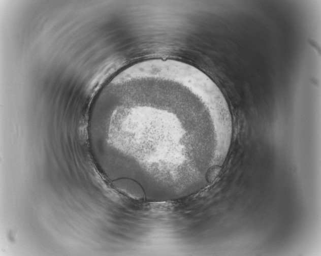 X0000103900050200810031158