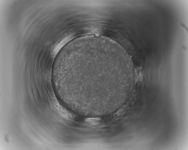 X0000103900051200810031158