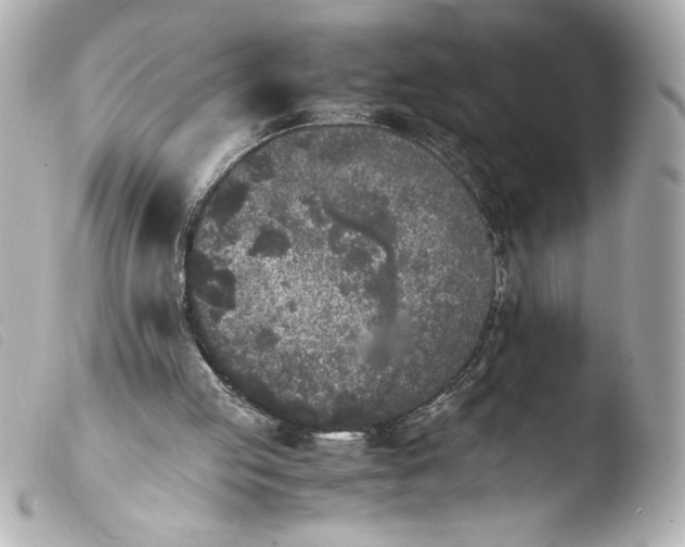 X0000103900053200810031158