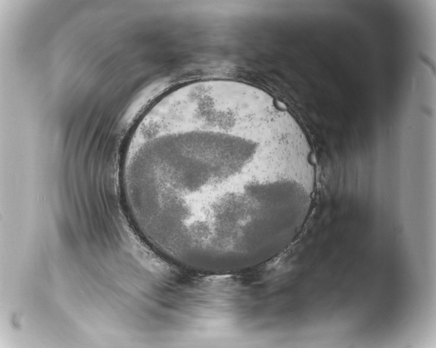 X0000103900054200810031159