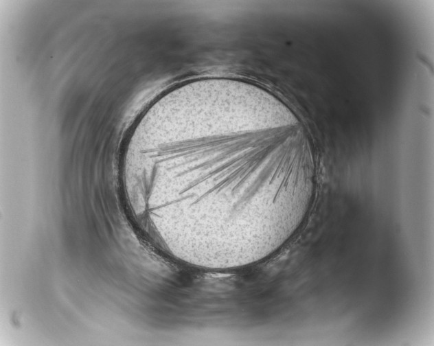 X0000103900055200810031159