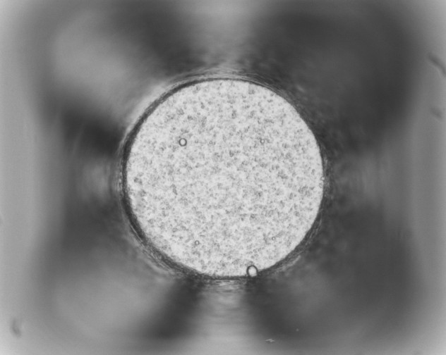 X0000103900056200810031159