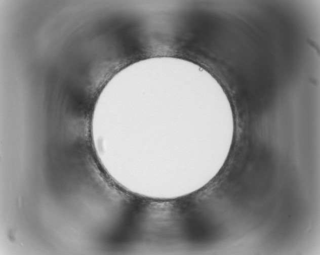 X0000103900057200810031159