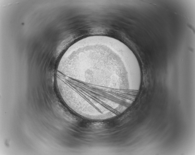 X0000103900059200810031159