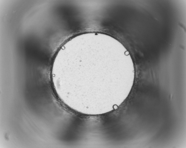 X0000103900060200810031159