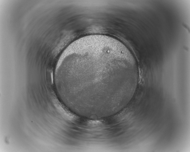 X0000103900061200810031159