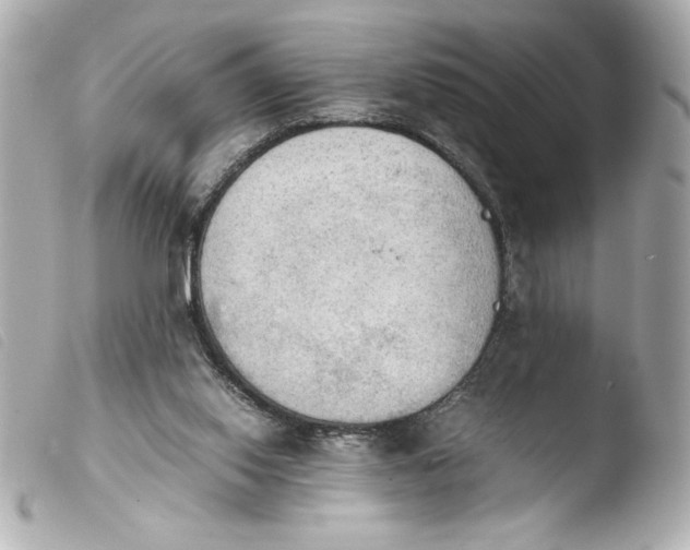 X0000103900062200810031159