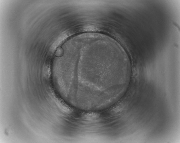 X0000103900063200810031159