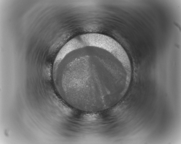 X0000103900065200810031159