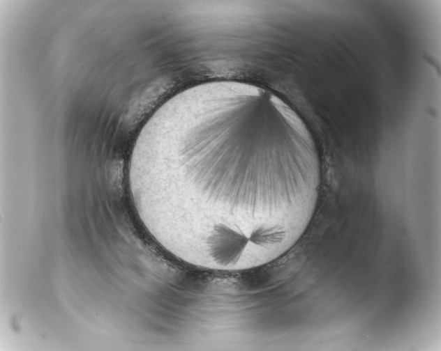 X0000103900066200810031159