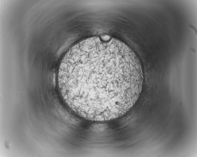 X0000103900067200810031159