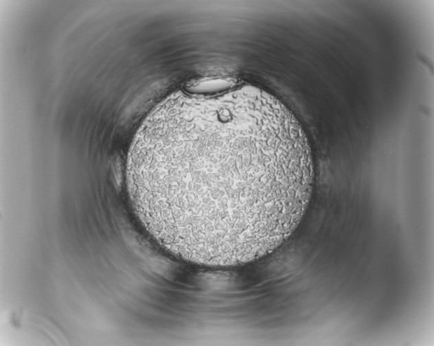 X0000103900069200810031159