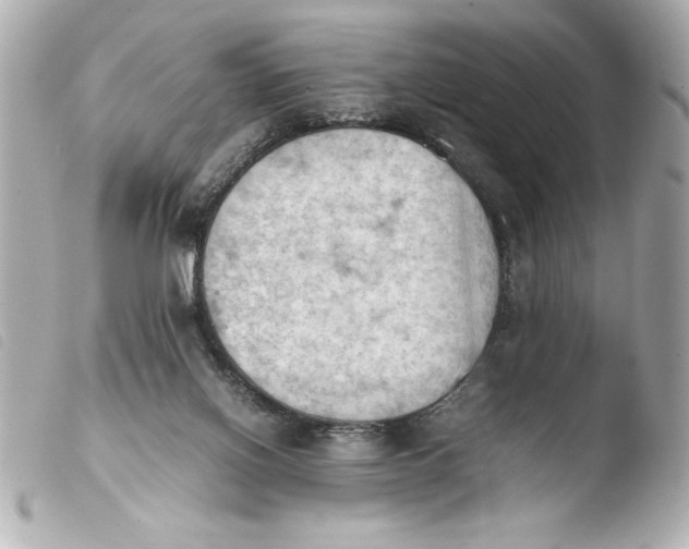 X0000103900070200810031159