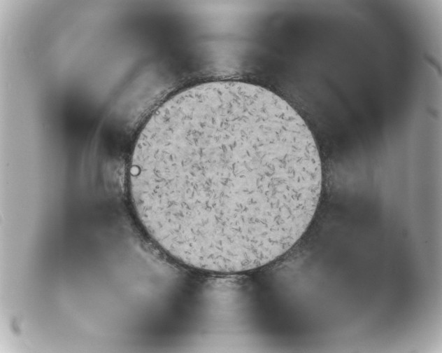 X0000103900072200810031159