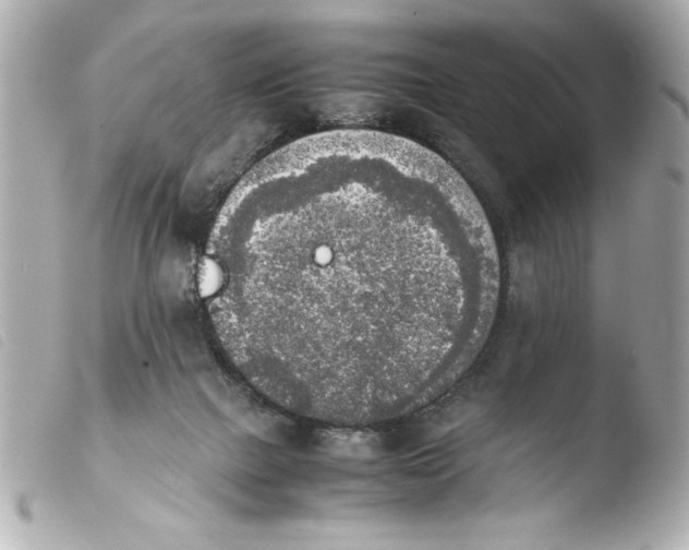 X0000103900073200810031159