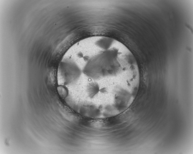 X0000103900074200810031159