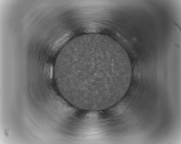 X0000103900076200810031159