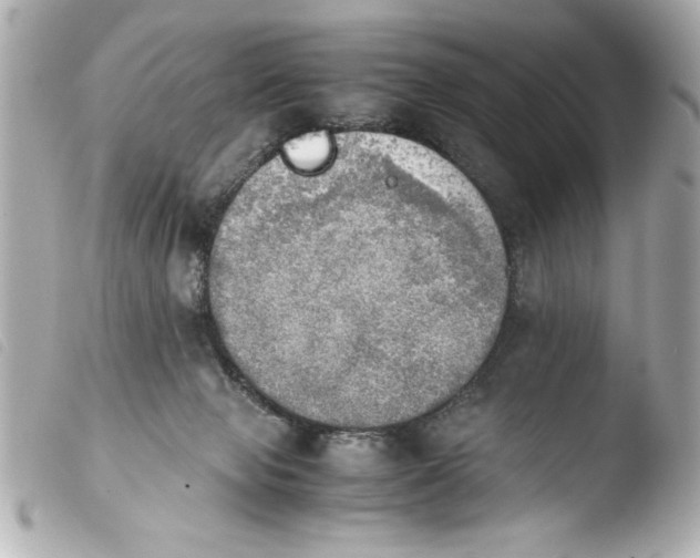 X0000103900077200810031159