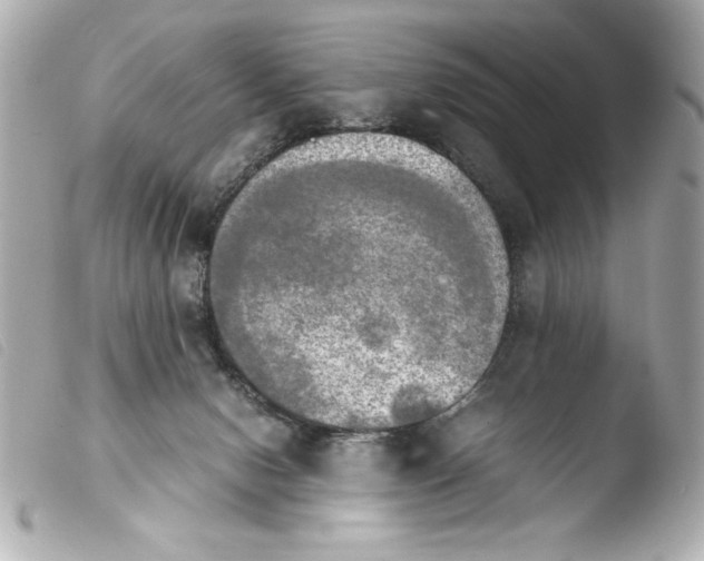 X0000103900078200810031159