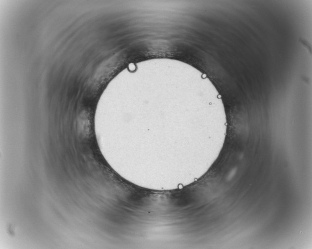 X0000103900080200810031159