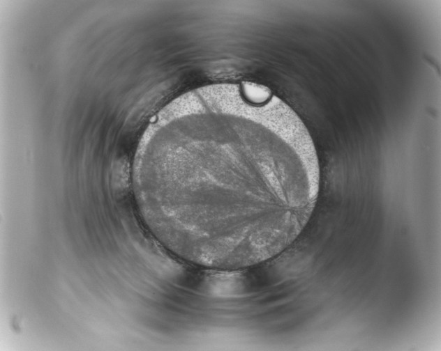 X0000103900081200810031159