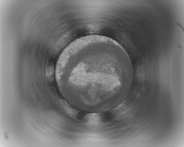 X0000103900082200810031159